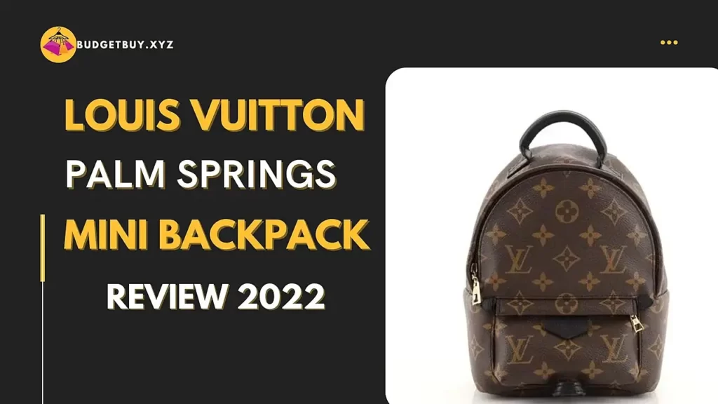Louis Vuitton Palm Springs Mini Backpack review 2022
